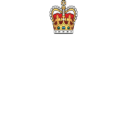 (c) Airtattoo.com