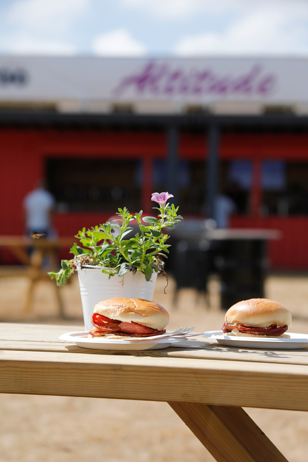 RIAT25 77 ENCLOSURES ALTITUDE GREENLYS TG 96 Websize