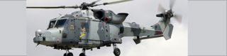 Wildcat Ah1 Riat Volunteer