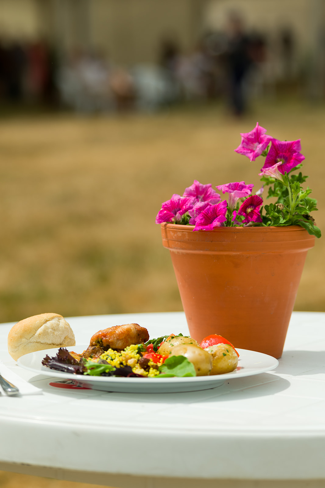 RIAT25 77 ENCLOSURES COTSWOLD CLUB GREENLYS RD 0076 Websize