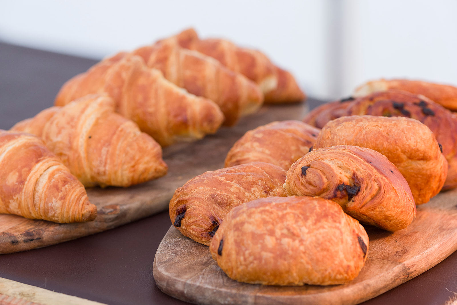 RIAT23 7 ENCLOSURES COTSWOLD CLUB RGP RD 065