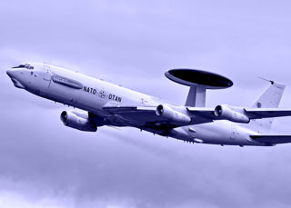 NATO Theme Website 1