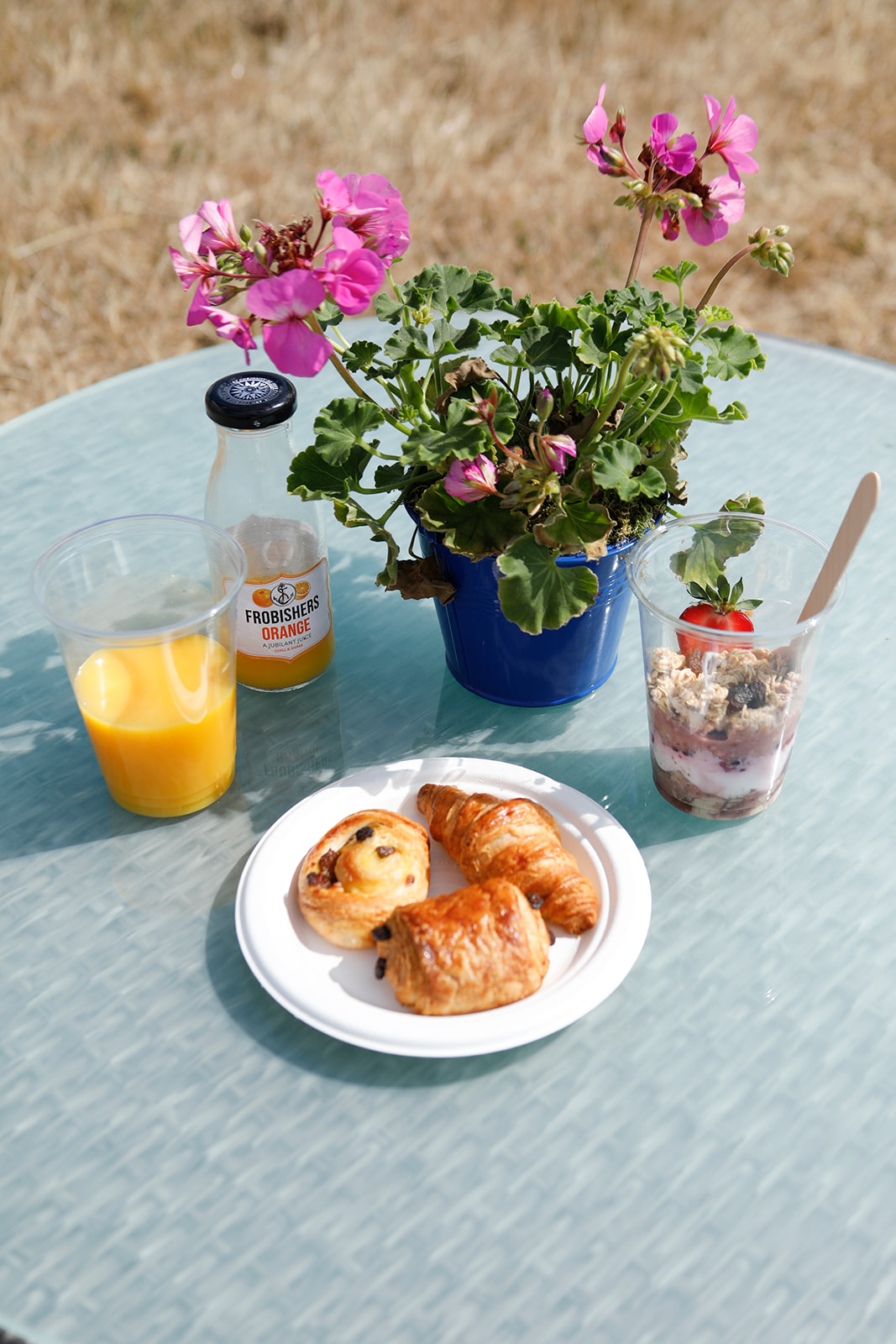 RIAT25 77 ENCLOSURES ALTITUDE GREENLYS TG 116 Websize