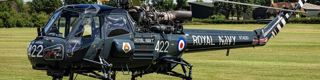 Wasp 4125089