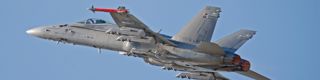Finnish Hornet