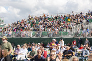 Viewing Village Grandstand With Guests Sitting In Garden RIAT24