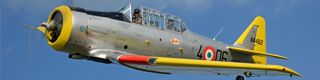 Texan T 6 Luigino Caliaro