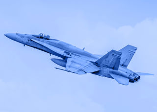 RCAF Theme Website 1