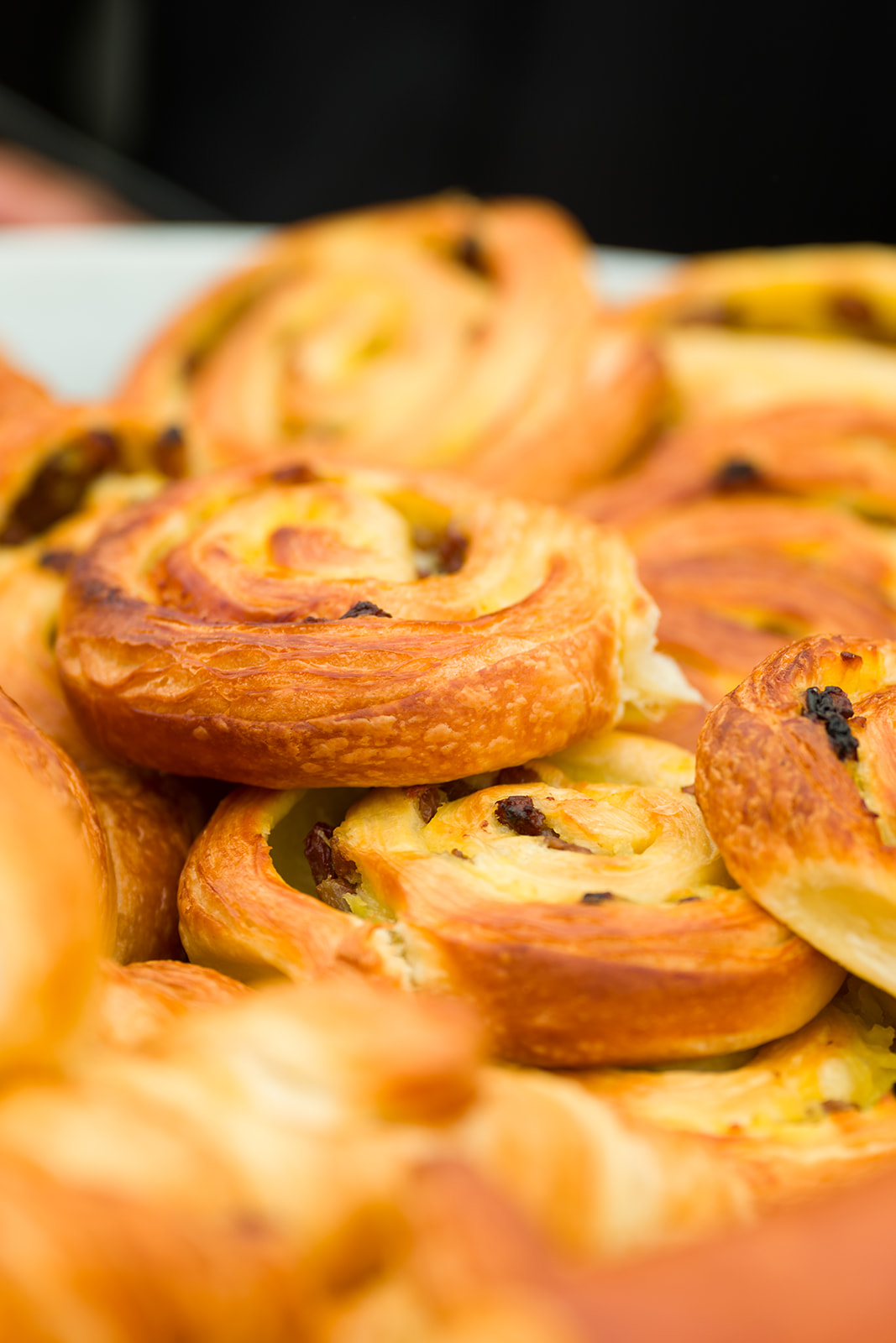 RIAT25 77 ENCLOSURES COTSWOLD CLUB GREENLYS RD 0027 Websize