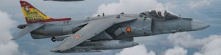 Harrier Rich Cooper